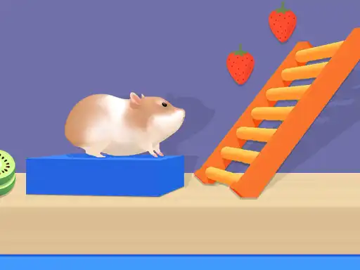 Hamster Labirent - Hamster Labirent oyna Zen Oyun